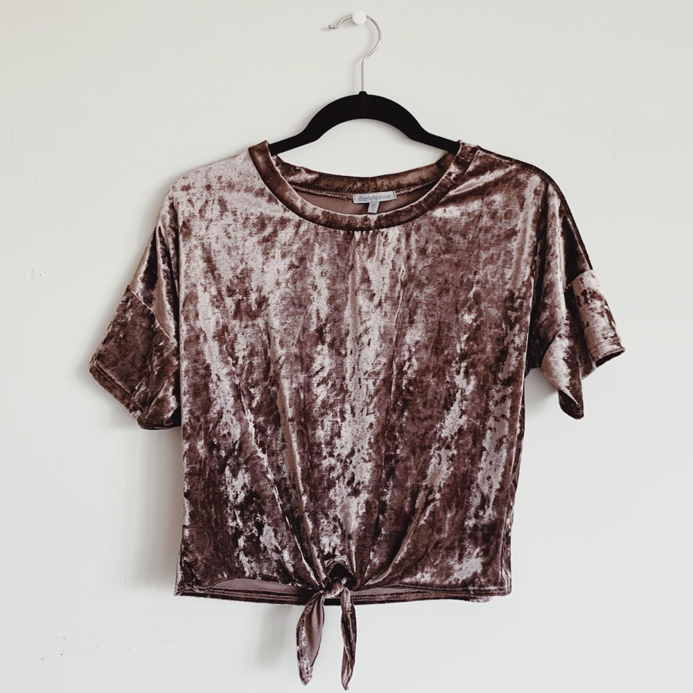 Fun velvet top